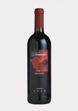 November novello Merlot IGT Veneto